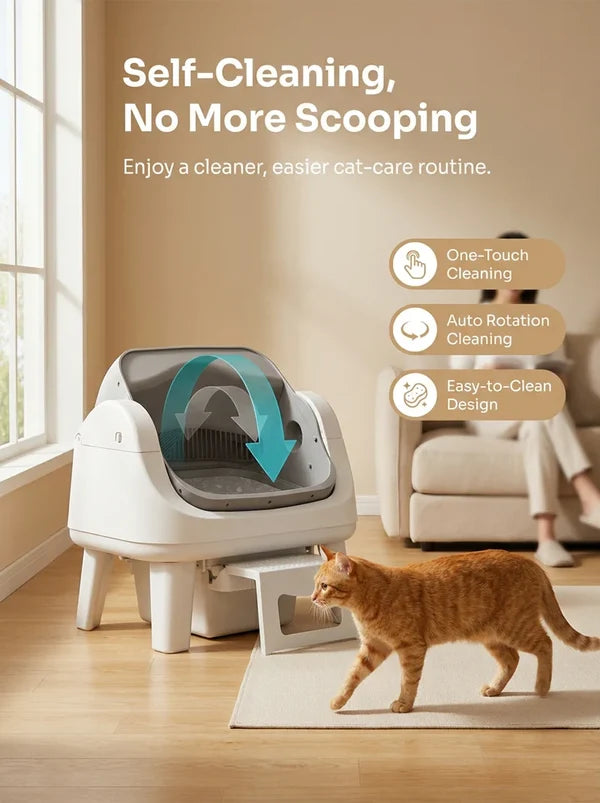 Clean Litter Automatically